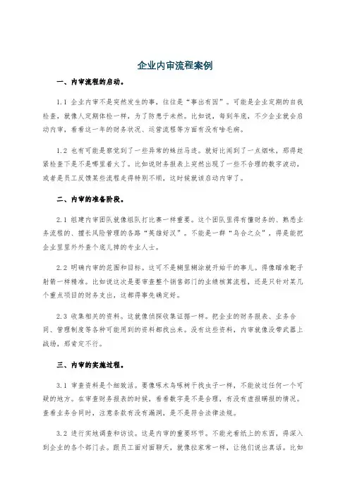 企业内审流程案例