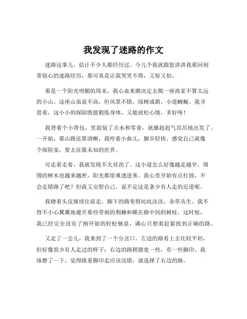 我发现了迷路的作文