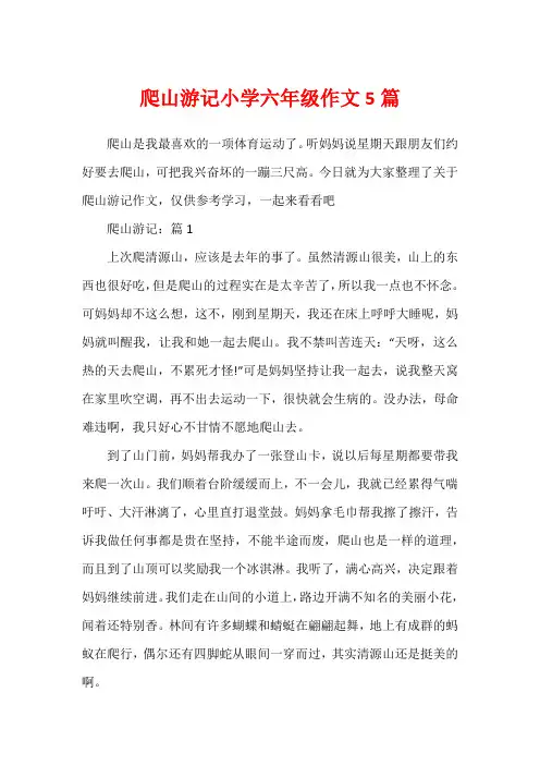 爬山游记小学六年级作文5篇