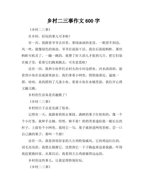 乡村二三事作文600字