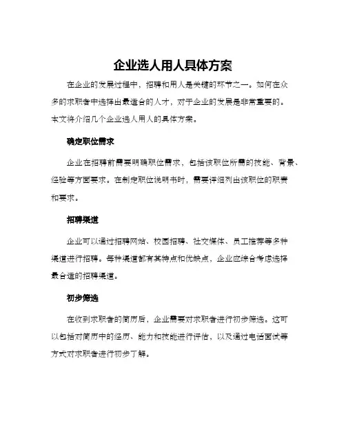 企业选人用人具体方案
