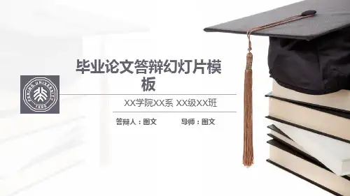 大学生论文答辩PPT模板 (28)