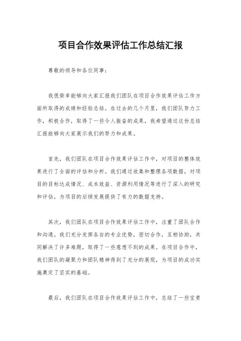 项目合作效果评估工作总结汇报
