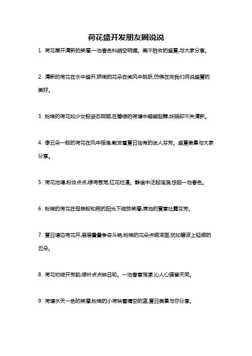 荷花盛开发朋友圈说说
