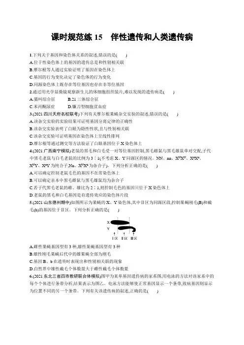 2023年老高考生物一轮复习练习15 伴性遗传和人类遗传病