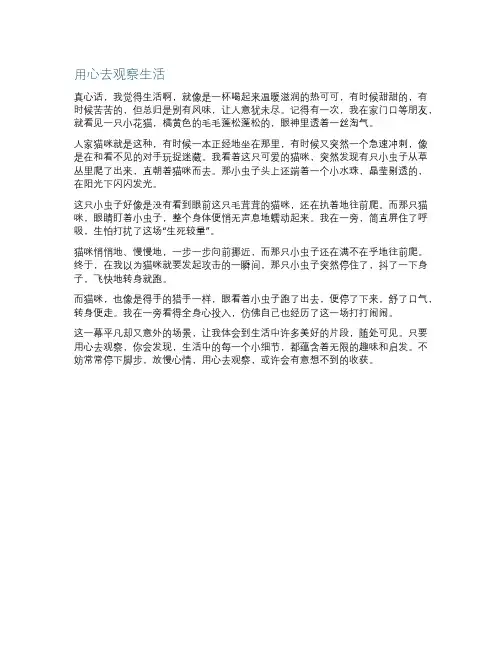 用心去观察生活作文