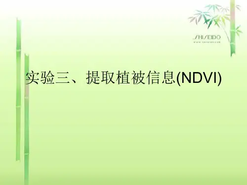NDVI实验