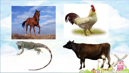 6比尾巴 课件(共17张PPT)