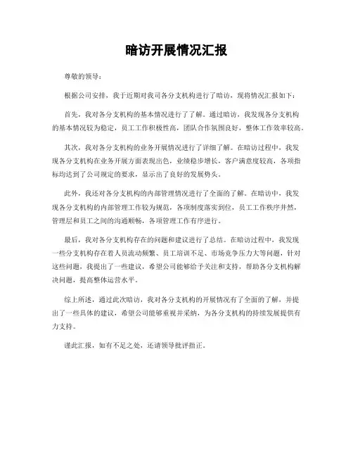 暗访开展情况汇报