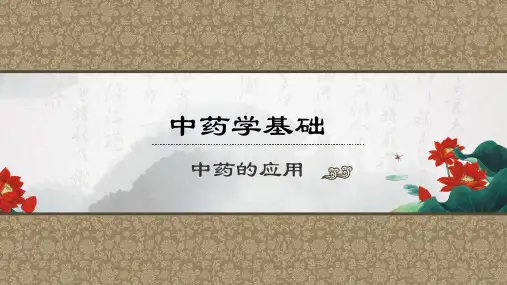 药膳的制作(中药学基础课件)