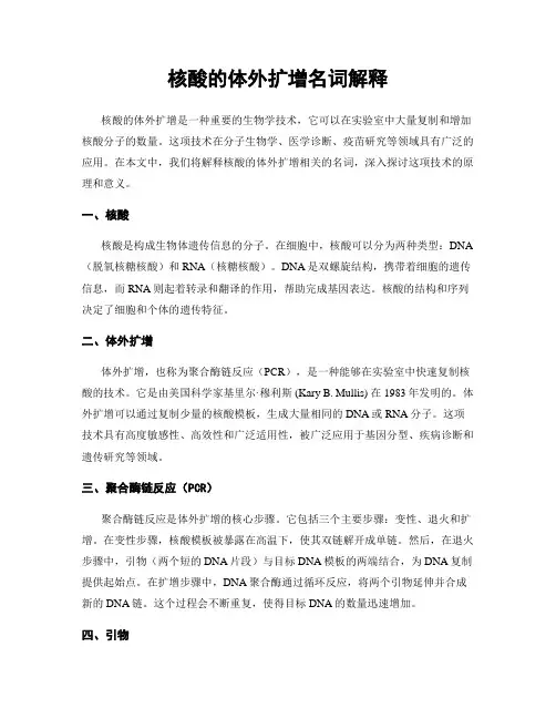 核酸的体外扩增名词解释