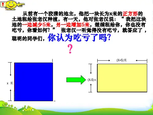 华师大版八年级数学上册 123 乘法公式平方差公式 课件1