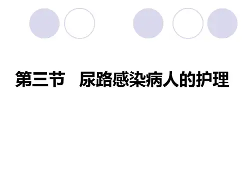 第三节尿路感染病人的护理PPT课件