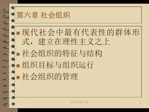 社会组织培训讲义(PPT 35张)