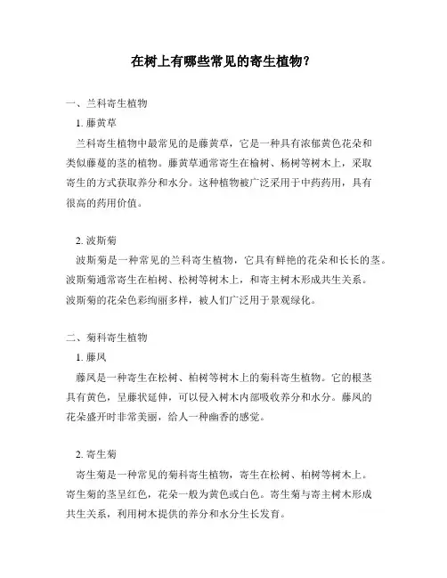 在树上有哪些常见的寄生植物？