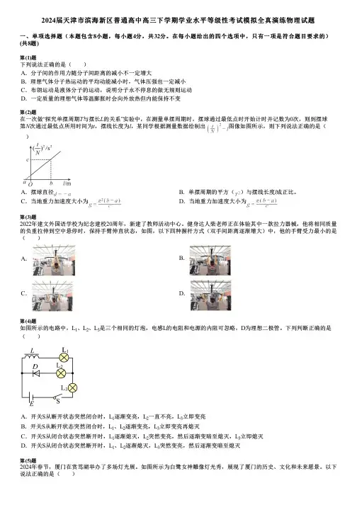 2024届天津市滨海新区普通高中高三下学期学业水平等级性考试模拟全真演练物理试题