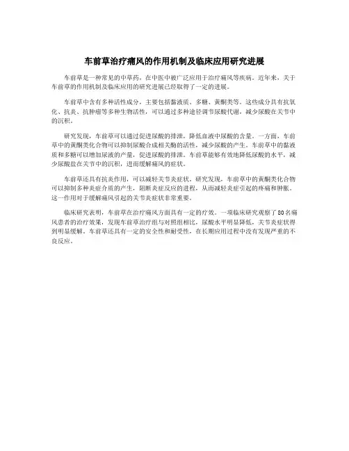 车前草治疗痛风的作用机制及临床应用研究进展