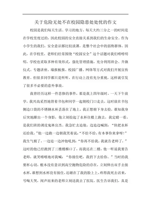 关于危险无处不在校园隐患处处忧的作文