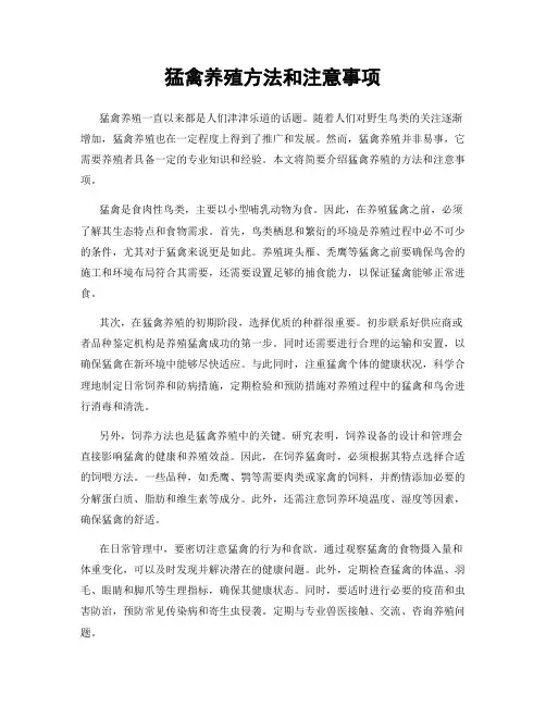 猛禽养殖方法和注意事项