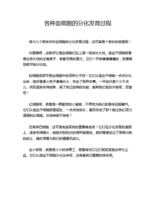 各种血细胞的分化发育过程