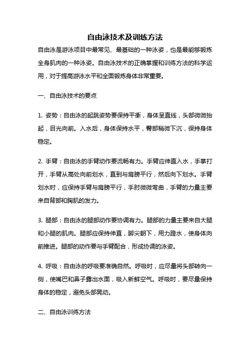 自由泳技术及训练方法