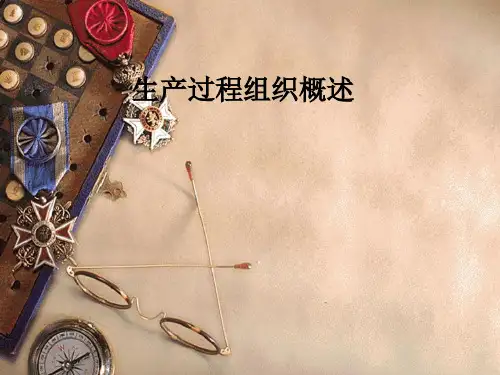 生产过程组织概述