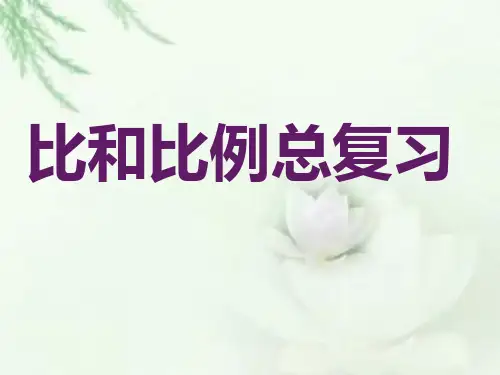 比与比例PPT课件
