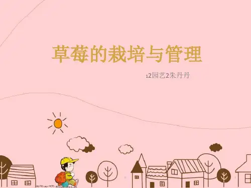 《草莓栽培管理》PPT课件