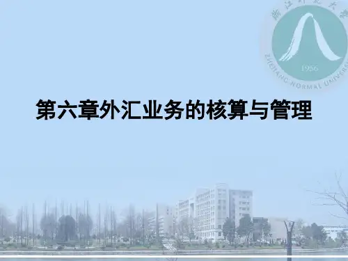 第六章外汇业务的核算与管理