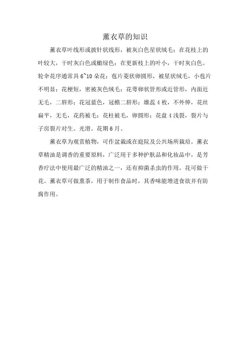 薰衣草的知识