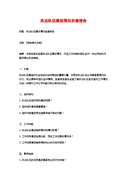 执法队伍建设情况自查报告
