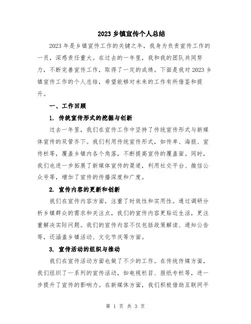 2023乡镇宣传个人总结