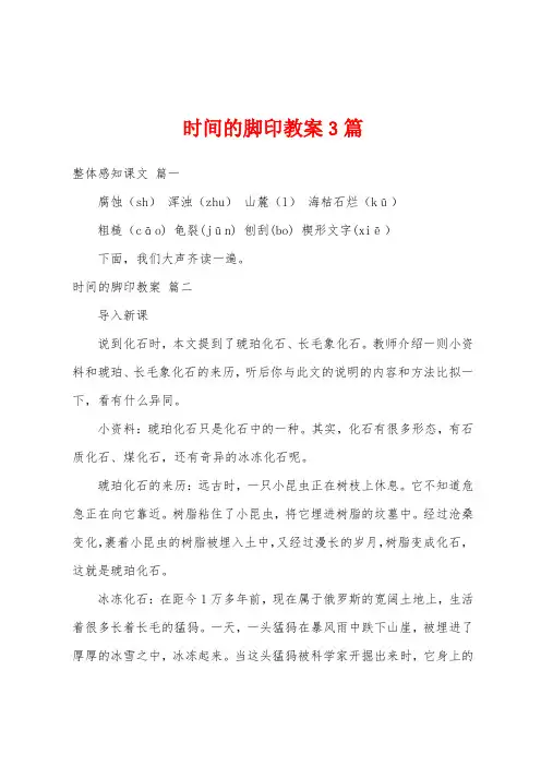 时间的脚印教案3篇