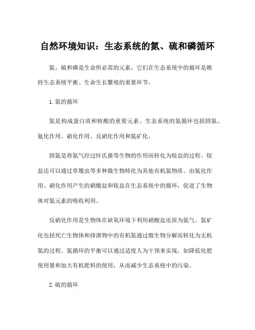 自然环境知识：生态系统的氮、硫和磷循环