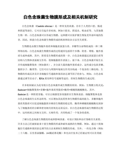 白色念珠菌生物膜形成及相关机制研究