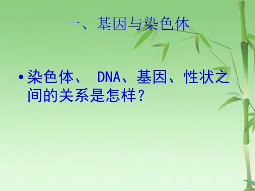 第二节 基因在亲子代间的传递(共28张PPT)