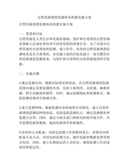 自然资源调查监测体系构建实施方案