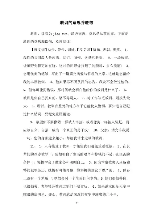 教训的意思并造句