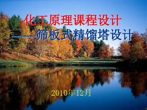筛板塔设计(2013)