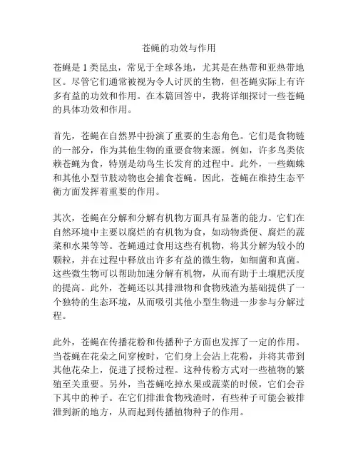 苍蝇的功效与作用