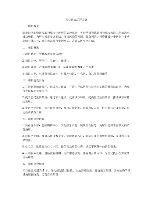 项目建成运营方案