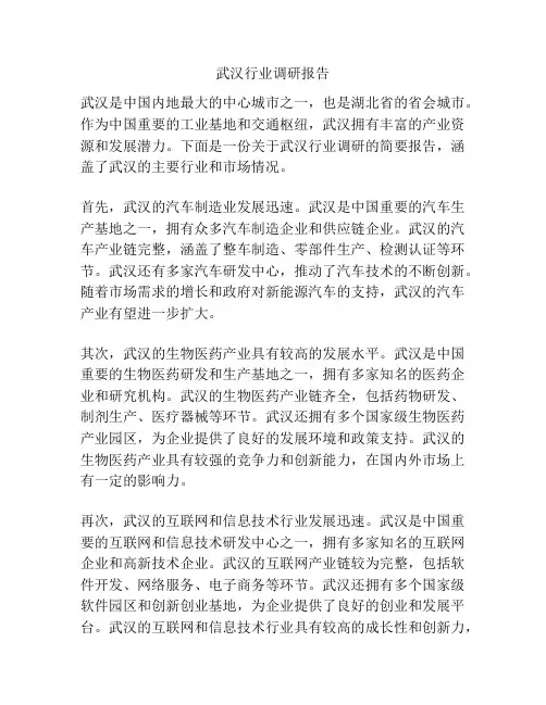 武汉行业调研报告
