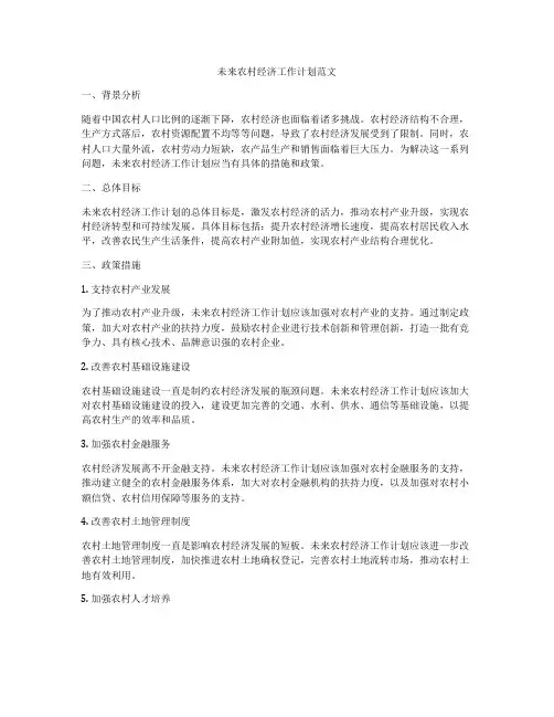 未来农村经济工作计划范文