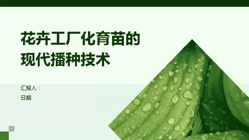花卉工厂化育苗的现代播种技术