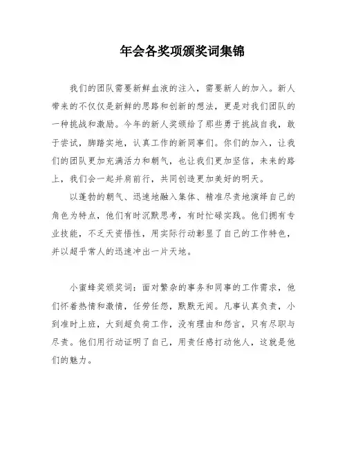年会各奖项颁奖词集锦