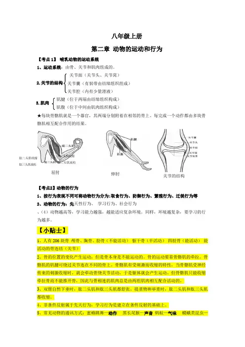 八年级上册生物第二章《动物的运动和行为》