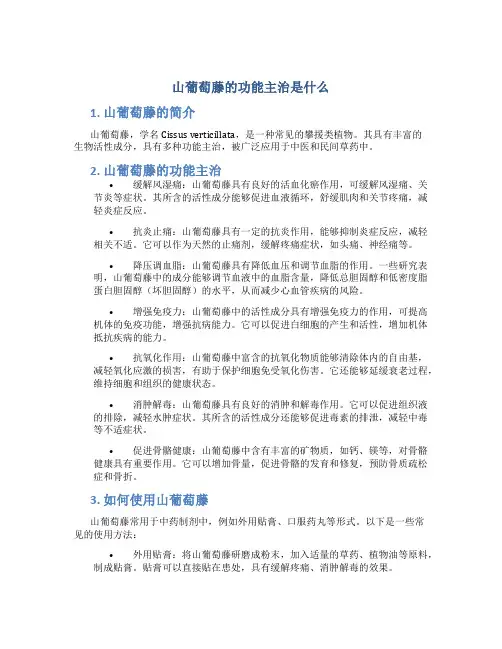 山葡萄藤的功能主治是什么