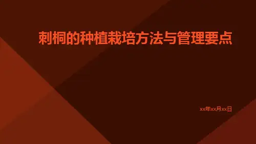 刺桐的种植栽培方法与管理要点