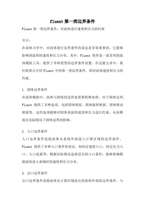 fluent第一类边界条件