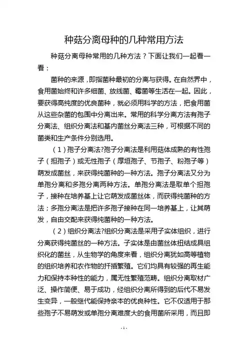 种菇分离母种的几种常用方法